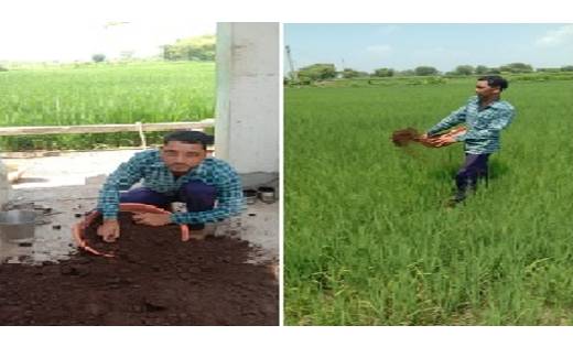 खेत की उर्वरा शक्ति बढ़ाने रमेश कर रहे हैं वर्मी कम्पोस्ट का ... - CG Sandesh