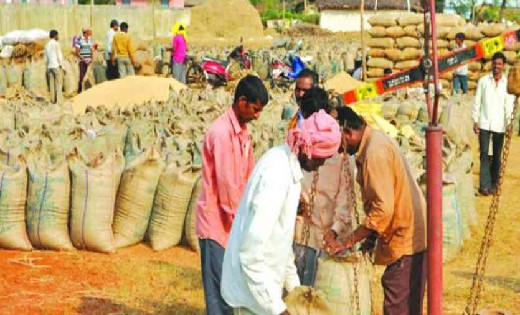 छत्तीसगढ़ में इस दिन से शुरू होगी समर्थन मूल्य पर धान खरीदी