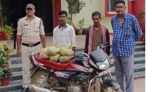बसना : उड़ीसा से बसना ले जा रहे थे गांजा, 2 तस्कर गिरफ्तार  - CG Sandesh