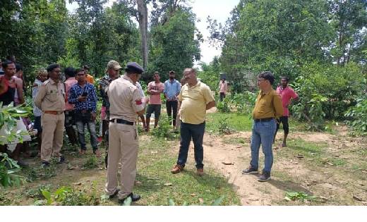 गांव में 25 हाथियों के दल ने मचाया आतंक, एक ग्रामीण को कुचलक... - CG Sandesh