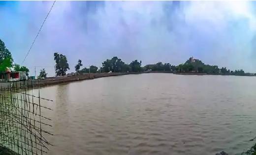 दो मासूम सगे भाई-बहन की मौत,तालाब में गए थे नहाने ... गांव म... - CG Sandesh
