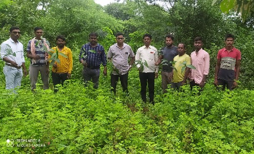 बसना : प्रधानमंत्री मोदी के जन्मदिवस पर दुधीपाली में किया गय... - CG Sandesh