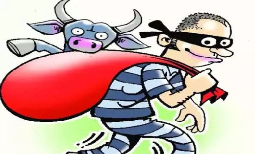 बसना : 10 हज़ार रूपये के बकरे की चोरी, 2 के खिलाफ FIR दर्ज - CG Sandesh