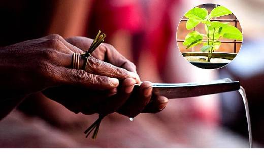  मरने के वक्त ये 4 चीजें हों पास तो श्राद्ध के बिना भी मिल ज... - CG Sandesh