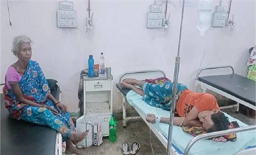  बीवी से हुई लड़ाई  तो गुस्से में जहरीले सांप को खा गया पति, ... - CG Sandesh