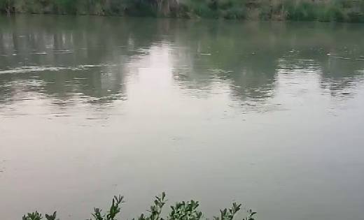 बसना : पानी में डूबने से एक की मौत - CG Sandesh