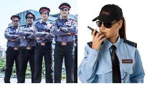   10वीं और 12वीं पास के लिए सिक्योरिटी इंटेलिजेंस सर्विस में... - CG Sandesh