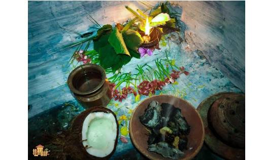 नवाखाई त्यौहार को  महासमुंद जिले में बड़े ही उत्साह के साथ म... - CG Sandesh