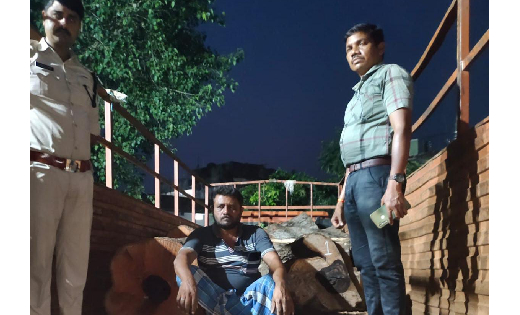 बसना : ट्रक में अवैध रूप से 3 लाख के तेंदु लकड़ी का परिवहन करते ट्रक चालक गिरफ्तार