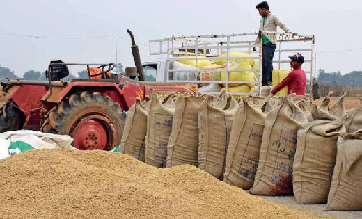 समर्थन मूल्य पर धान एवं मक्का उपार्जन हेतु किसान पंजीयन की अ... - CG Sandesh