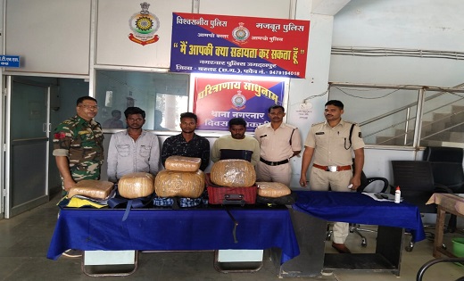 साढ़े चार लाख के अवैध गांजे के साथ तीन आरोपियों को नगरनार पु... - CG Sandesh