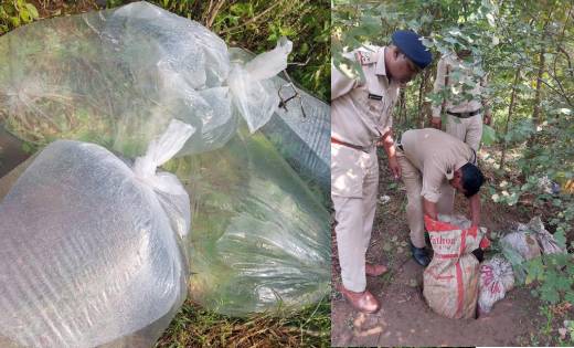 महासमुंद : आबकारी विभाग द्वारा अवैध मदिरा विक्रेताओं पर बड़ी ... - CG Sandesh