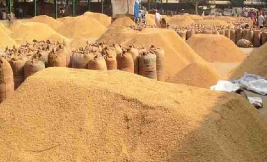 महासमुंद : धान एवं मक्का उपार्जन अवधि तक के लिए जिला स्तरीय ... - CG Sandesh