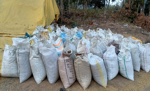 बदरंग, मिश्रित एवं पुराना धान बेचने लाये थे 7 किसान,  146 क्... - CG Sandesh