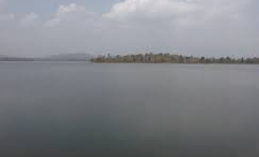 बसना : बाँध में तैरते मिली लाश - CG Sandesh
