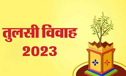 Tulsi Vivah 2023 : देव उठनी एकादशी व तुलसी विवाह आज… - CG Sandesh