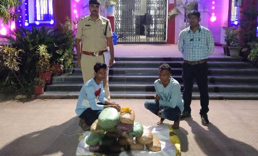 बसना : 7 लाख 55 हजार रूपये के गांजे के साथ दो तस्कर गिरफ्तार - CG Sandesh