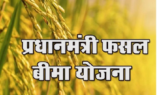 फसल बीमा योजना के तहत किसानों के खाते में 07 करोड़ से अधिक की... - CG Sandesh