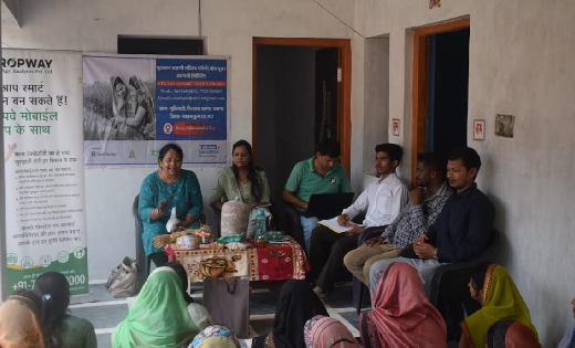 बसना : स्व सहायता समूह की महिलाओं को मशरूम एवं स्पान उत्पादन का दिया गया प्रशिक्षण 