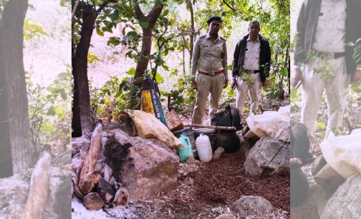 बसना : 45 लीटर मदिरा एवं 400 किलोग्राम महुआ लहान जप्त - CG Sandesh