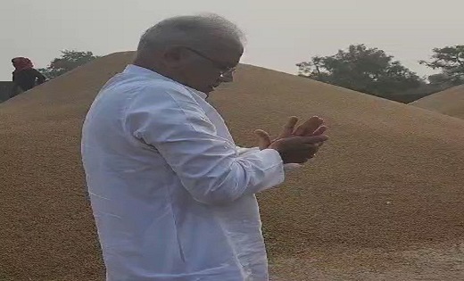 सीएम भूपेश बघेल ने “बढ़ौना” रस्म का किया निर्वहन, खेत पहुंचे सपरिवार