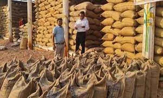 किसानों को कर्जमाफी की उम्मीद : बेमेतरा में धान खरीदी धीमी,अ... - CG Sandesh