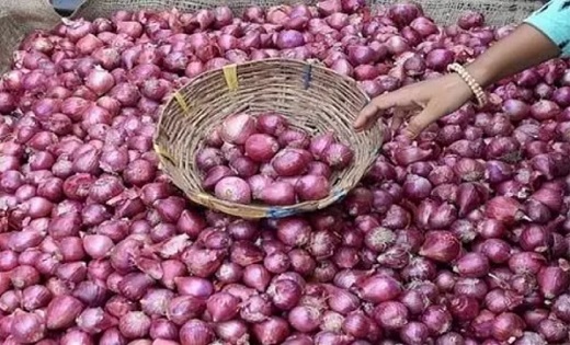 राजधानी में मिल रही सस्ती प्याज का राज, कितना होगा 1 किलो का... - CG Sandesh