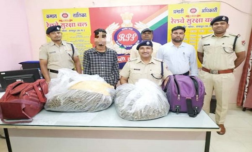 आरपीएफ ने रायपुर रेलवे स्टेशन से 2.40 लाख रूपए का गांजा पकड़ा
