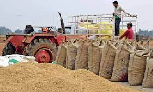 महासमुंद : धान खरीदी जारी, किसान भाइयों से अपने बैंक खातों क... - CG Sandesh