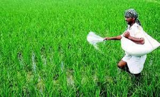 जानें क्या हैं समस्या- गिरदावरी सॉफ्टवेयर में गड़बड़ी, धान र... - CG Sandesh