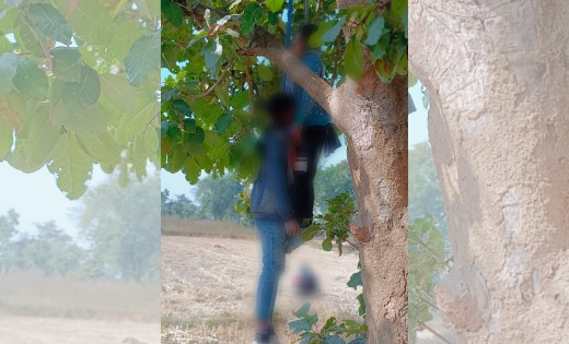 पिथौरा : पेड़ पर फंदे से लटकते मिली युवक-युवती की लाश - CG Sandesh