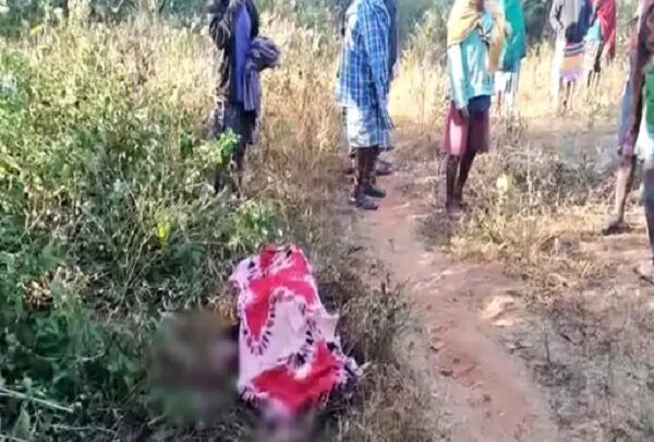 दंतैल हाथी ने युवक पर किया हमला, पटक-पटक कर ली जान - CG Sandesh