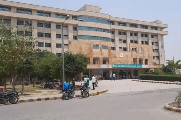 नवजात बच्ची का शव कुत्ते ने नोंचा, सिक्योरिटी गार्ड ने छुड़व... - CG Sandesh