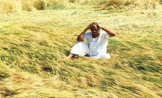 छत्तीसगढ़ में मौसम बदलने के साथ ही ग्रामीण इलाकों में ठंड का एहसास, किसान चिंतित