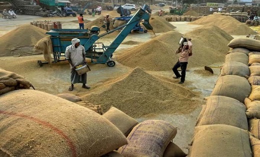 प्रदेश में पहली बार बायोमेट्रिक तरीके से धान खरीदी चालू - CG Sandesh