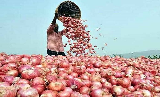 onion price today : भाव खा रहा प्याज…दाम निकाल रहा आंसू …जान... - CG Sandesh