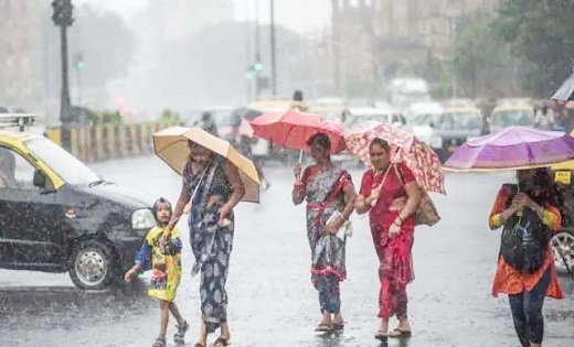 छत्‍तीसगढ़ में हो रही बारिश ने बढ़ा दी ठिठुरन, फसलों को हो रहा भारी नुकसान