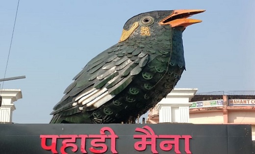 100 किलो कबाड़ से राजकीय पक्षी को किया गया है तैयार...पहाड़ी मैना की प्रतिमा रायपुर की बढ़ा रही शोभा