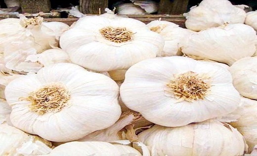 प्याज से भी ज्यादा महंगा हुआ लहसुन
