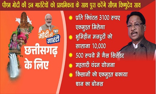 पीएम मोदी की इन गारंटियों को प्राथमिकता के साथ पूरा करेंगे CM विष्णुदेव साय