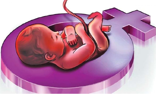 महासमुंद : पीसी-पीएनडीटी एक्ट अंतर्गत गठित जिला सलाहकार समित... - CG Sandesh