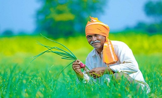 मुख्यमंत्री साय का किसानों के लिए सौगात, मिलेगा दो साल का बकाया धान बोनस, कल होगा वितरण