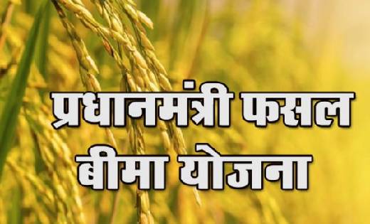 प्रधानमंत्री फसल बीमा योजना की दी गई जानकारी - CG Sandesh