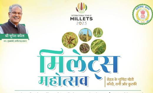 28 फरवरी को रायगढ़ में होगा मिलेट महोत्सव - CG Sandesh