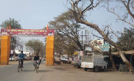 बसना : कभी भी गिर सकते हैं सूखे पेड़, सड़क किनारे चल रहे राह... - CG Sandesh