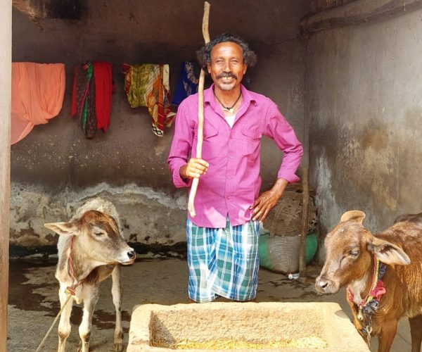 गोबर बेचकर चरवाहे मोहित ने खरीदा जमीन, सपना किया पूरा… - CG Sandesh