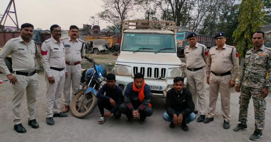  मवेशियों व वाहनों की चोरी करने वाले 3 आरोपी गिरफ्तार - CG Sandesh
