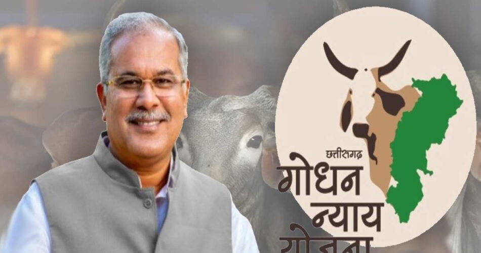  इतने करोड़ का CM बघेल कल गोधन न्याय योजना के हितग्राहियों को... - CG Sandesh