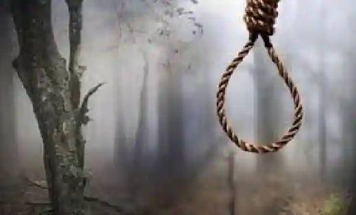 महासमुंद : जंगल में फांसी के फंदे पर लटकते मिली अज्ञात महिला... - CG Sandesh