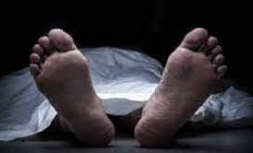 बसना : पेड़ से गिरने से मौत